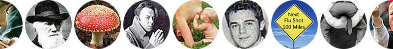 horizontal row of circular thumbnail images