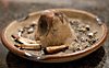 Animal skull and bones on shallow dish