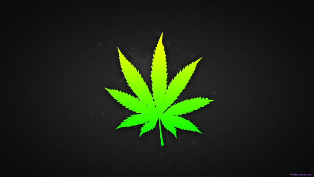 marijuana leaf