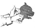 Hand making dog shadow puppet