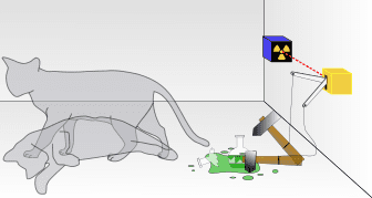 Cat knocking over trap spilling green liquid