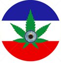 Cannabis leaf with eyeball inside tricolor circle