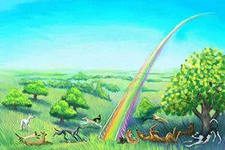 Rainbow over meadow with animals
