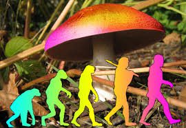 evolving humans walking beneath a mushroom cap
