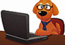 dog wearing glassas and a necktie siting at a laptop