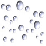 beads of water on a plain white background