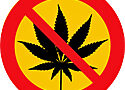 black marijuana leaf on a yellow backgroud with a red circle with a line through it superimposed
