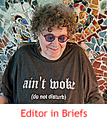 Image of Phil Maggitti, the boyishly handsome founder and editor in briefs of Postcards from the Pug Bus