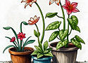 three plants in pots