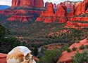 skull in foreground, sedona in background