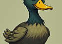 image of a duck