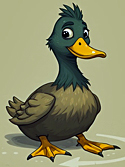 image of a duck